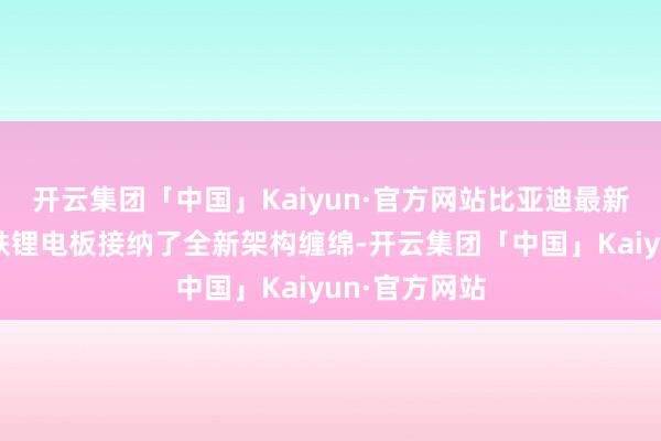 开云集团「中国」Kaiyun·官方网站比亚迪最新树立的磷酸铁锂电板接纳了全新架构缠绵-开云集团「中国」Kaiyun·官方网站
