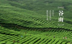 这个时节的蒜苔十分嫩-开云集团「中国」Kaiyun·官方网站