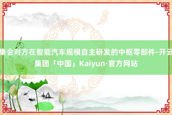 集会对方在智能汽车规模自主研发的中枢零部件-开云集团「中国」Kaiyun·官方网站