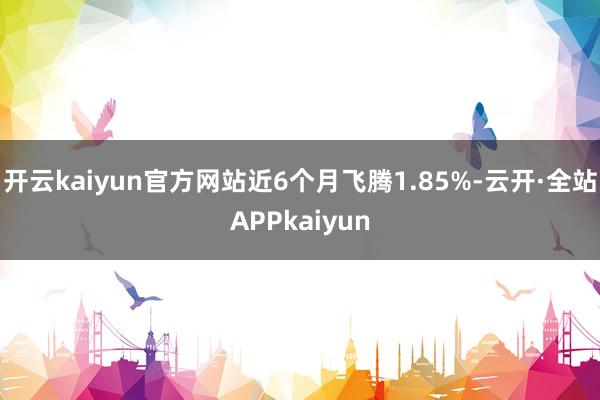 开云kaiyun官方网站近6个月飞腾1.85%-云开·全站APPkaiyun