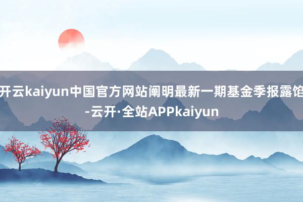 开云kaiyun中国官方网站阐明最新一期基金季报露馅-云开·全站APPkaiyun
