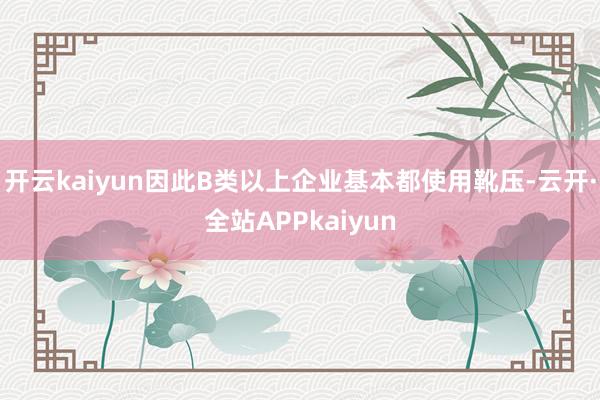 开云kaiyun因此B类以上企业基本都使用靴压-云开·全站APPkaiyun
