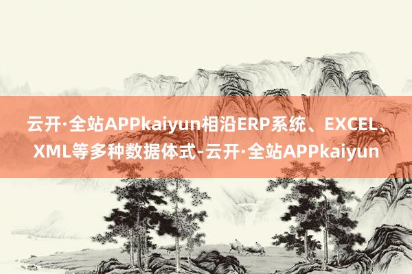 云开·全站APPkaiyun相沿ERP系统、EXCEL、XML等多种数据体式-云开·全站APPkaiyun