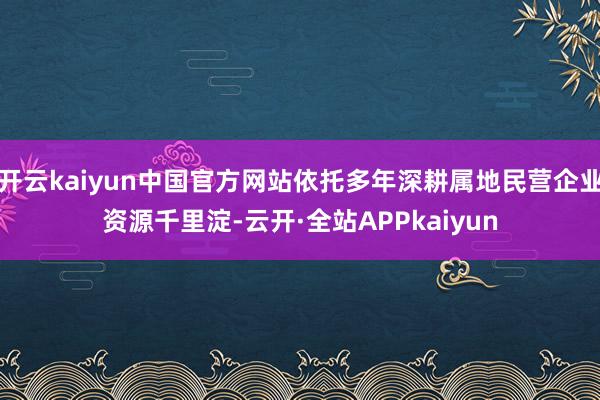 开云kaiyun中国官方网站依托多年深耕属地民营企业资源千里淀-云开·全站APPkaiyun