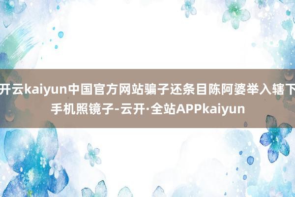 开云kaiyun中国官方网站骗子还条目陈阿婆举入辖下手机照镜子-云开·全站APPkaiyun